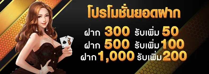 โปรโมชั่น1