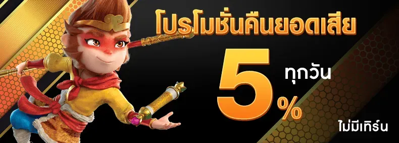 โปรโมชั่น3